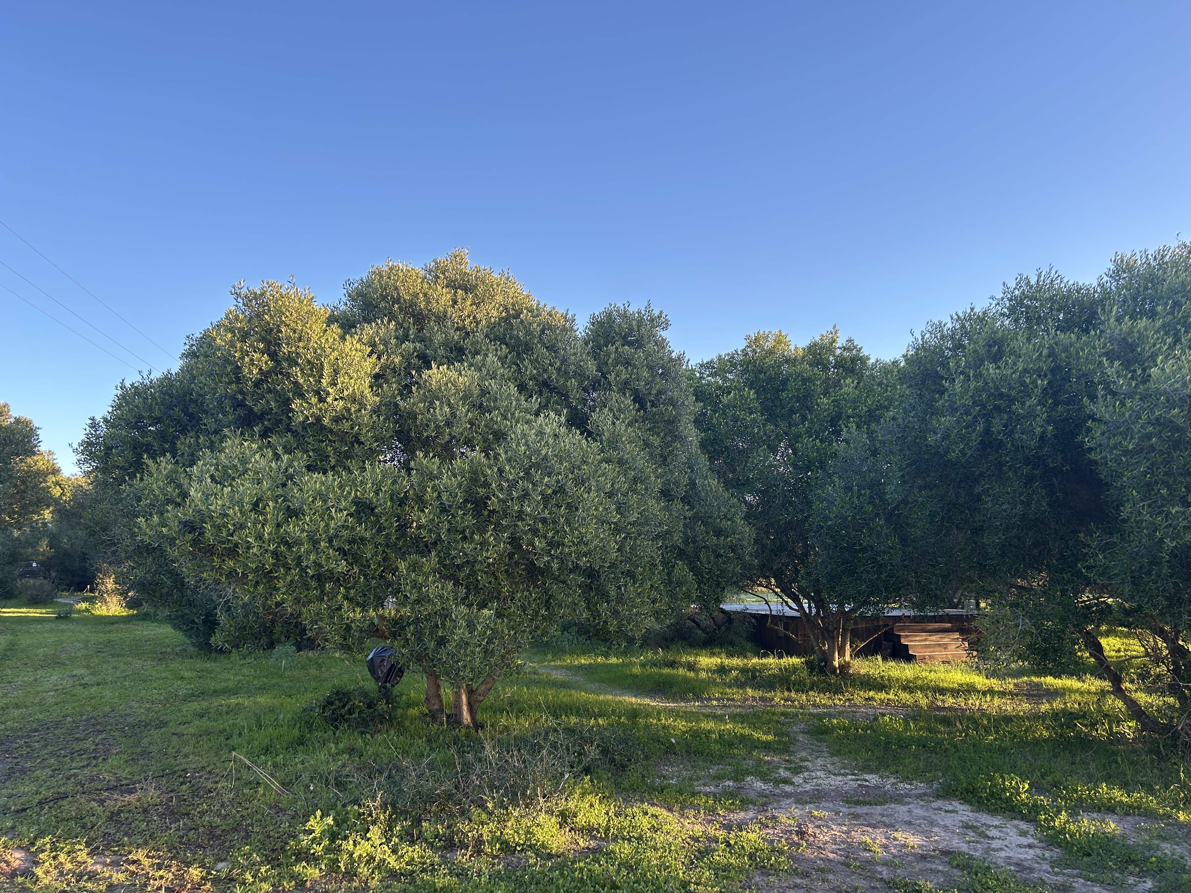 Zdjęcie pustego podestu od namiotu z przyłączem.