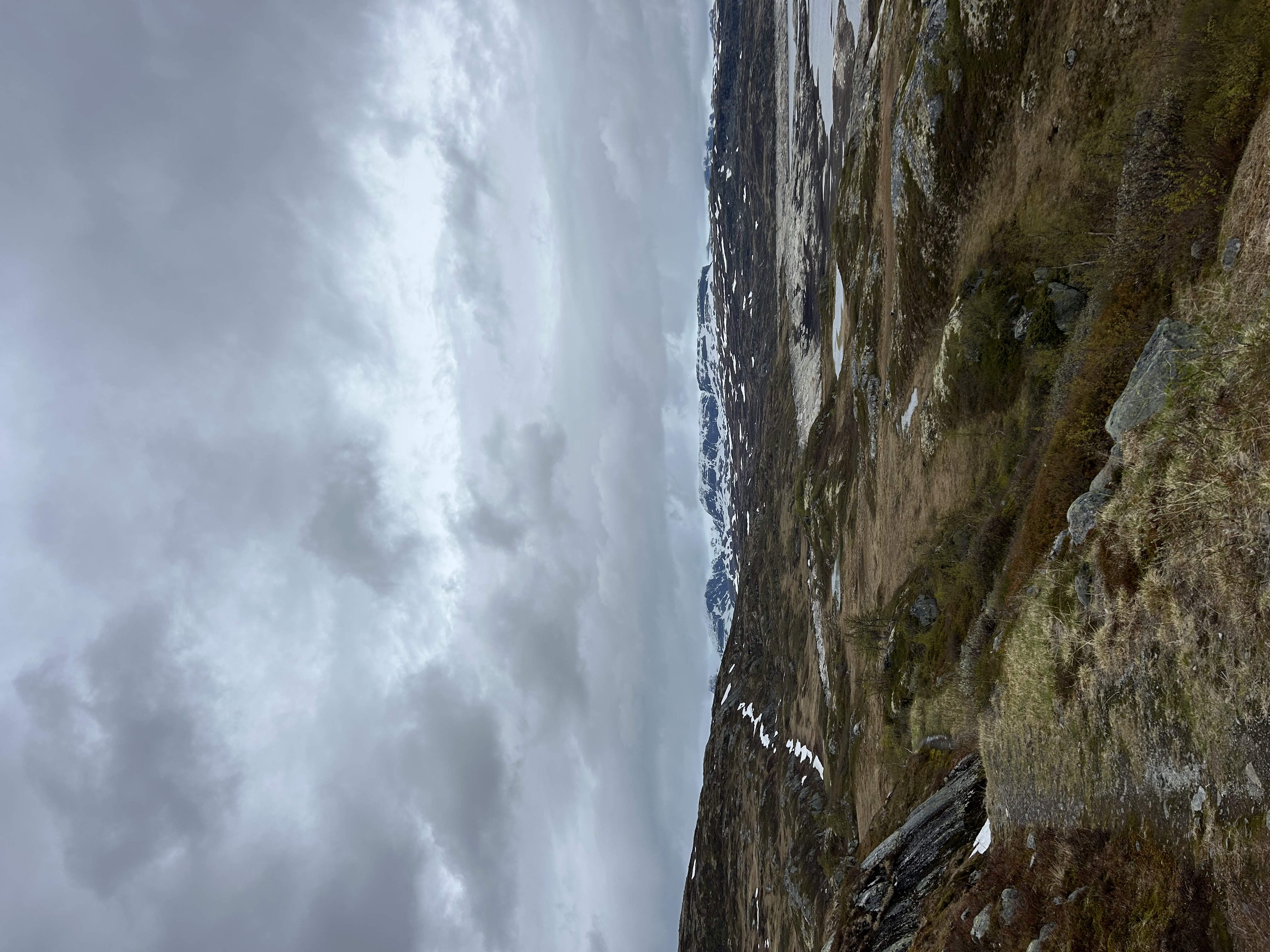 Poranny spacer z psem z widokiem na Hardangerjøkulen