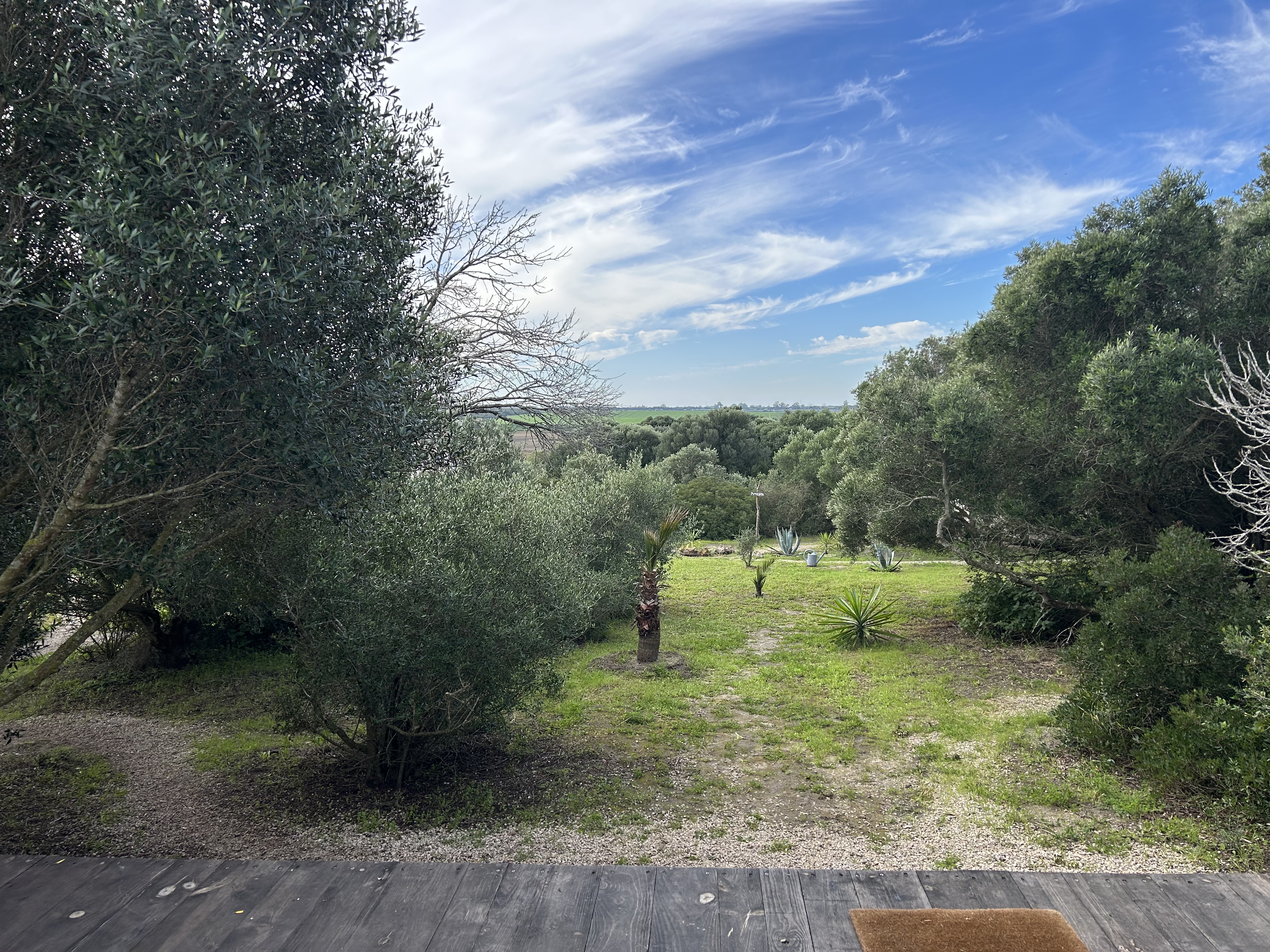 Zdjęcie hiszpańskiego ogrodu po wyjściu z namiotu.